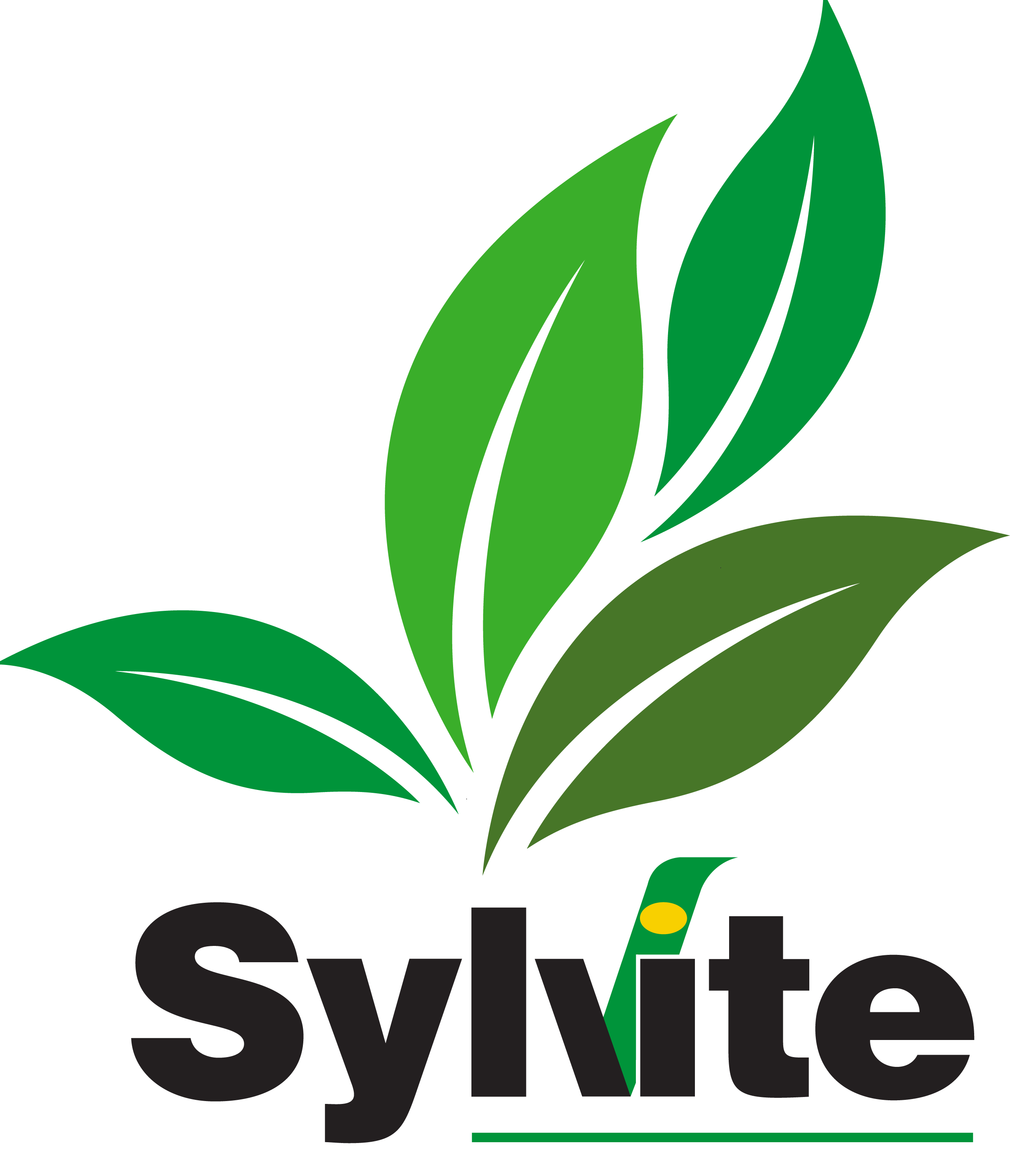 Sylvite-Logo_fullcolour-transparent-background-0f230cc8c2206f734e56075add47416b.png