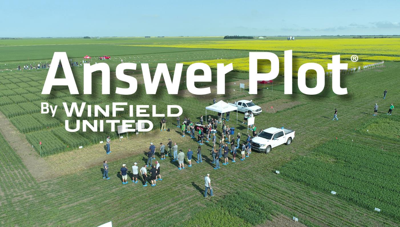 Insights from the Field - Answer Plot® 2024